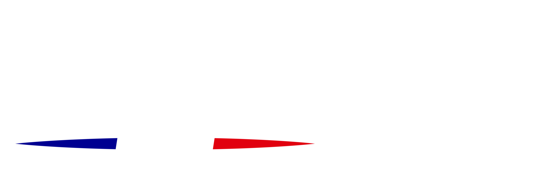 FLEXSIM